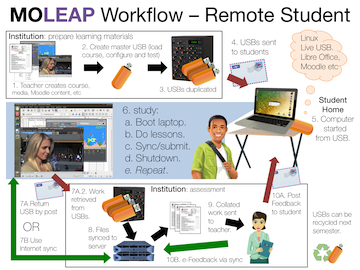 moleap system workflow